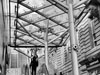 photography